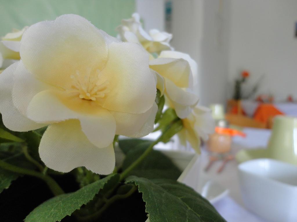 B&B Cristina Centola Ngoại thất bức ảnh